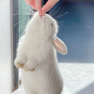 今天不上晚自习