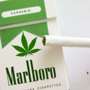 ☯👑  𝐖ⓤt尺ⓘ𝐜𝓪