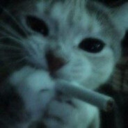 energyq - steam id 76561198982715680