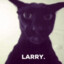 Larry