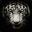 Andrey_Li
