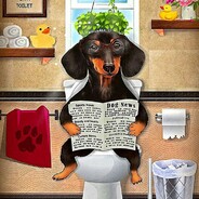 子非鱼 焉知鱼之鱼