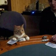 мотич костылев