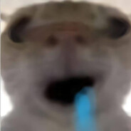 MAX [+]