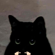 MadK1tKat
