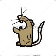 Rat