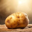 Potato