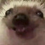 Niki
