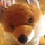 FOXNAMEDCOW