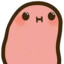 patata