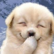 超级勇敢小小牛