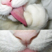 PiterS