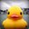 deadly duck