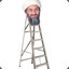 osama bin ladder