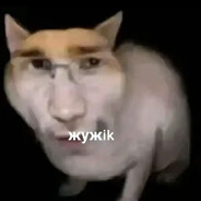 ЖужIк