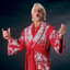 Ric Flair