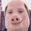 john pork