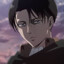 Levi