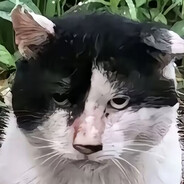 吾为汝伞，握吾勾把