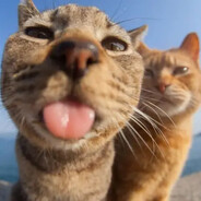 LiteelBigg - steam id 76561199882253910