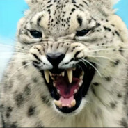 祈福人的意不平