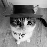 dasie