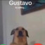 Gustavo
