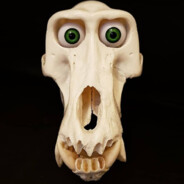 RaccBoon