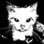 Мяу - шконка