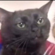 Impulseeeeeeeeeeeeee