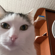 Batterino