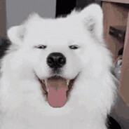 HeavyDog