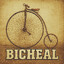 Bichael Cycle