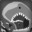 shork