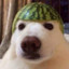 Sado4ok