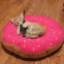 Donuthole