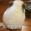 猪八戒爱吃猪耳朵