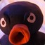 Noot Noot