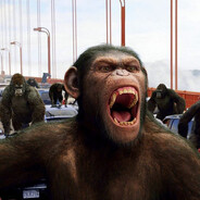 Macaco Cesar