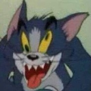 我是特种兵老猫