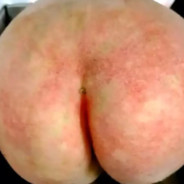 红豆生南国春来发几枝。愿君多采撷此物最相思