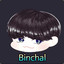 Binchal