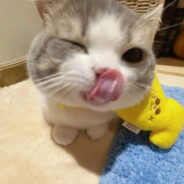 Kisazo
