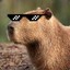 Capybara