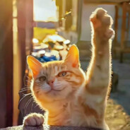 醉酒拳打丈母娘