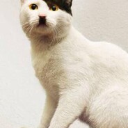 翻斗花园爆炸手牛爷爷