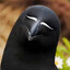 magpie