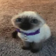 взаимная похлава