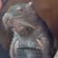 Ratking