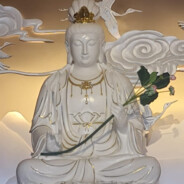 生命规划师